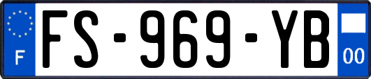 FS-969-YB