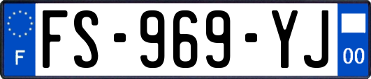 FS-969-YJ