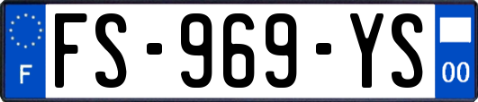 FS-969-YS