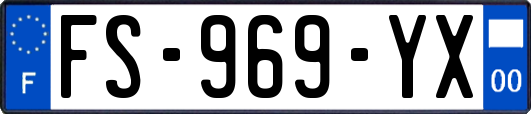 FS-969-YX