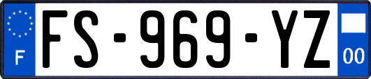 FS-969-YZ