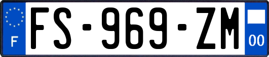 FS-969-ZM