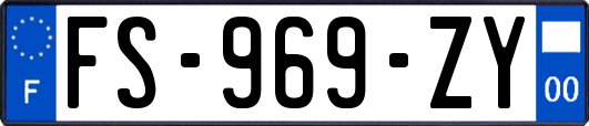 FS-969-ZY