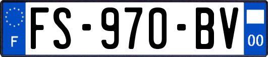 FS-970-BV