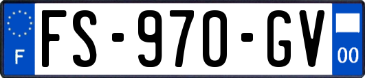 FS-970-GV