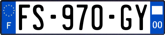 FS-970-GY