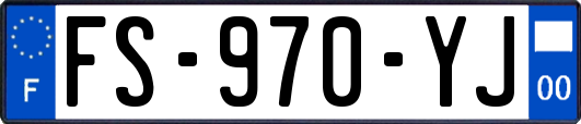 FS-970-YJ