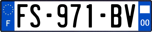 FS-971-BV