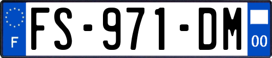 FS-971-DM