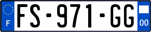 FS-971-GG