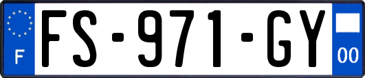 FS-971-GY