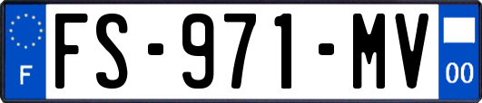 FS-971-MV