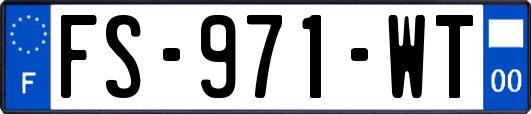 FS-971-WT