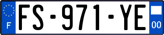FS-971-YE