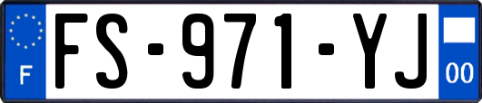 FS-971-YJ