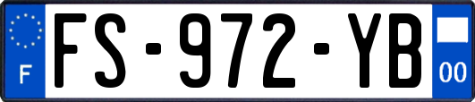 FS-972-YB