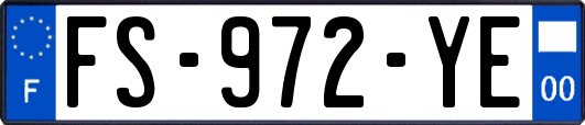 FS-972-YE