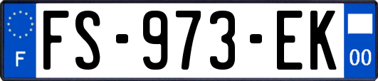 FS-973-EK