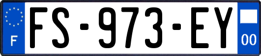 FS-973-EY