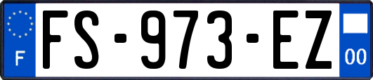 FS-973-EZ