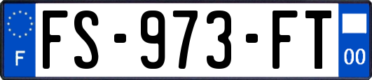 FS-973-FT