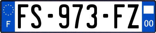 FS-973-FZ
