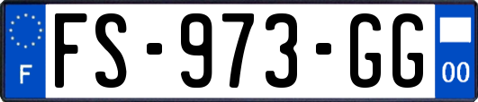 FS-973-GG
