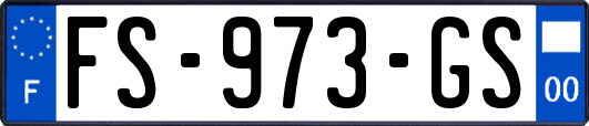 FS-973-GS