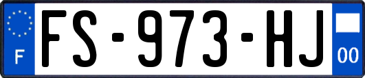 FS-973-HJ