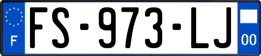 FS-973-LJ