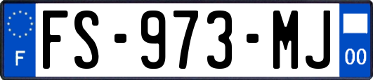 FS-973-MJ