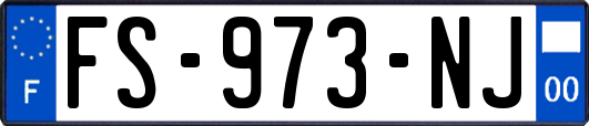 FS-973-NJ