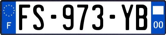 FS-973-YB