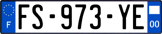 FS-973-YE