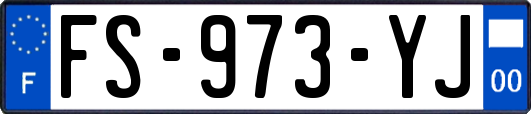 FS-973-YJ