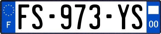 FS-973-YS
