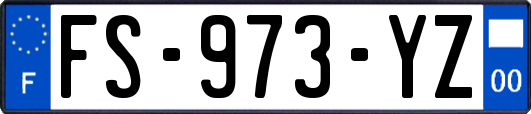 FS-973-YZ