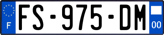 FS-975-DM