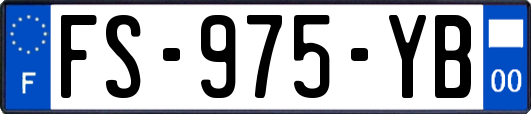 FS-975-YB