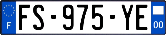 FS-975-YE