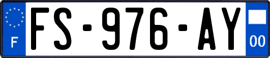 FS-976-AY