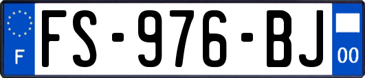 FS-976-BJ