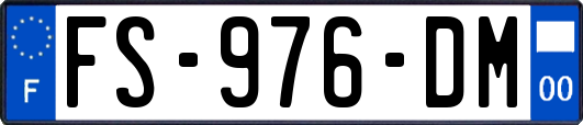 FS-976-DM