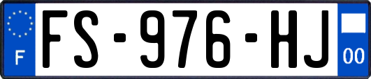 FS-976-HJ