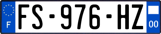 FS-976-HZ