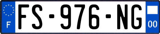 FS-976-NG