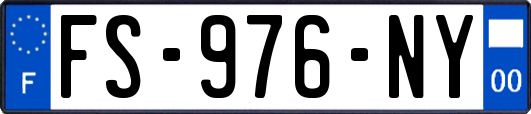 FS-976-NY