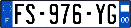 FS-976-YG