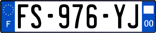 FS-976-YJ