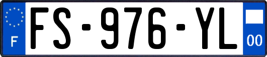 FS-976-YL